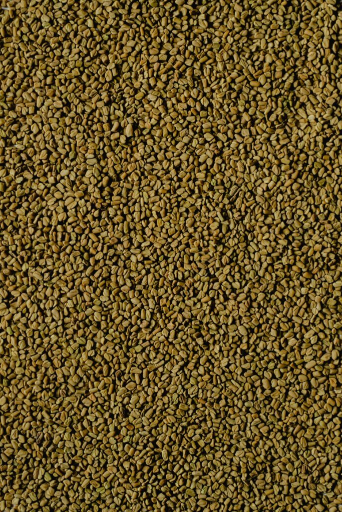 Detailed view of golden brown fenugreek seeds depicting natural texture.