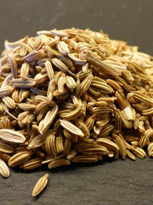 fennel, seeds, aromatic plant, food, meal, fennel, fennel, fennel, fennel, fennel