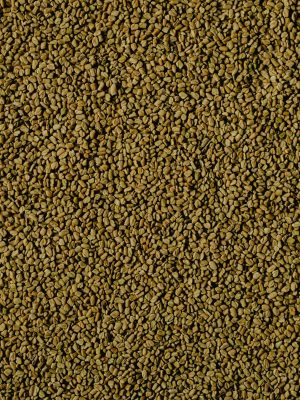 Detailed view of golden brown fenugreek seeds depicting natural texture.